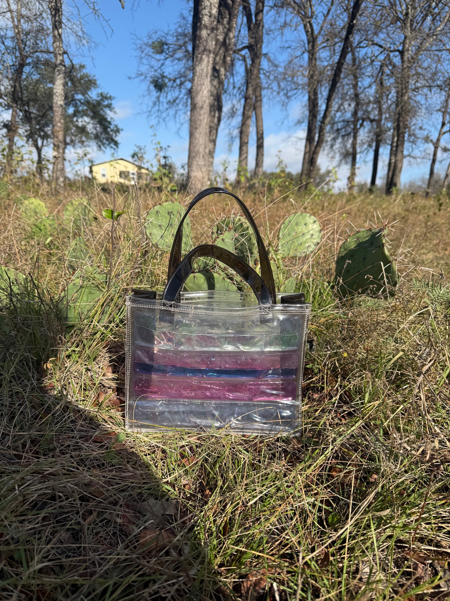 Clear handbag with a black handle on a grassy ground with trees in the background
