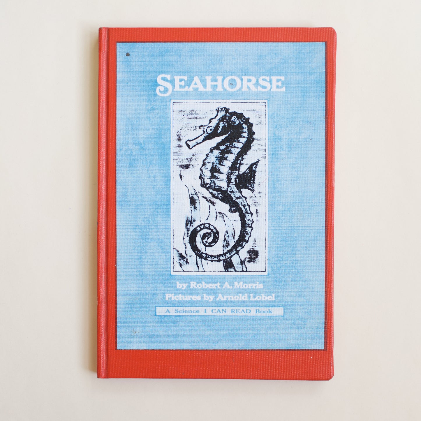 Seahorse