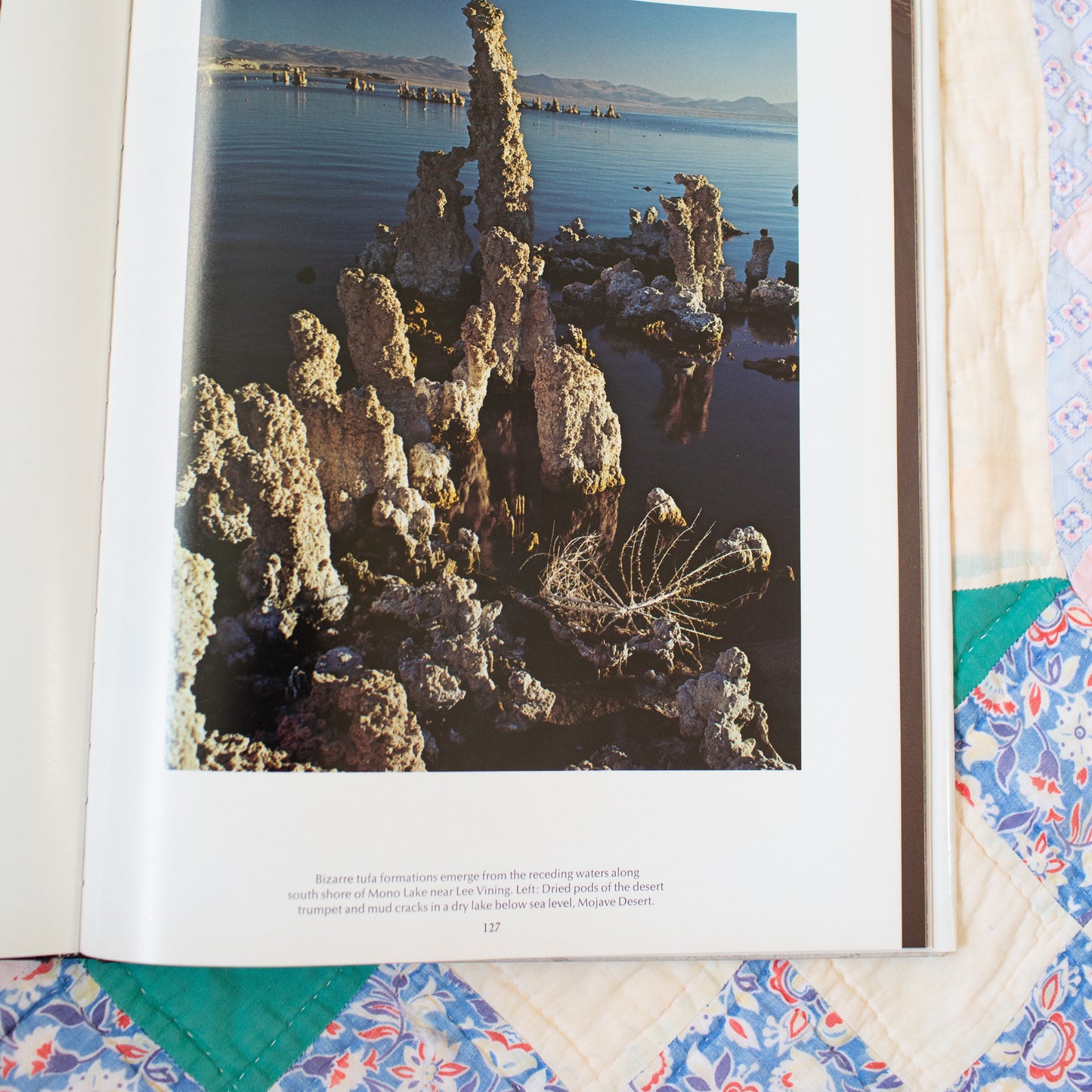 California II Coffee Table Book